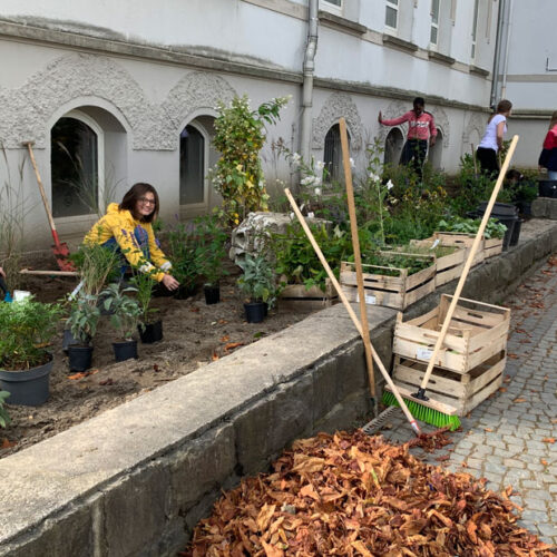 Pflanzen für den Pflanzbereich auf dem vorderen Schulhof gestaltet durch die AG-Green-Team unter Anleitung von Frau Meyer-Kramer