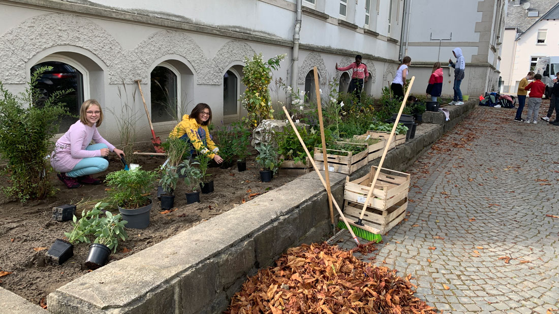 Pflanzen für den Pflanzbereich auf dem vorderen Schulhof gestaltet durch die AG-Green-Team unter Anleitung von Frau Meyer-Kramer