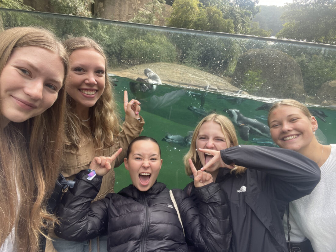 Exkursion in den Zoo, EF