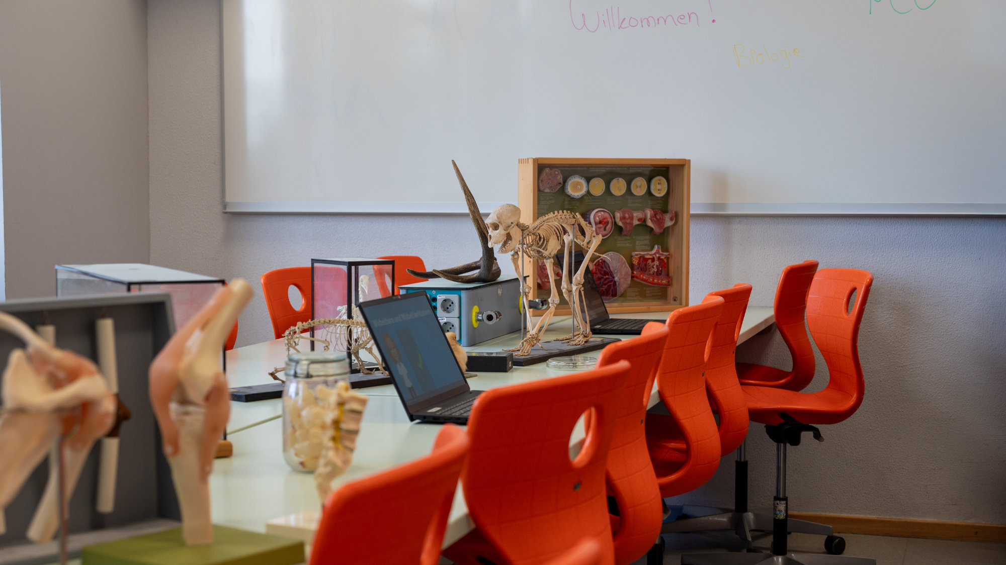 tag_der_offenen_tuer_2025_14