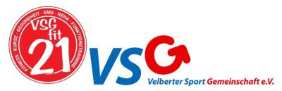 Logo VSGfit